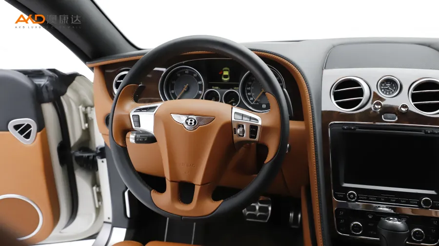 二手欧陆 6.0T GT W12  标准版图片3849930