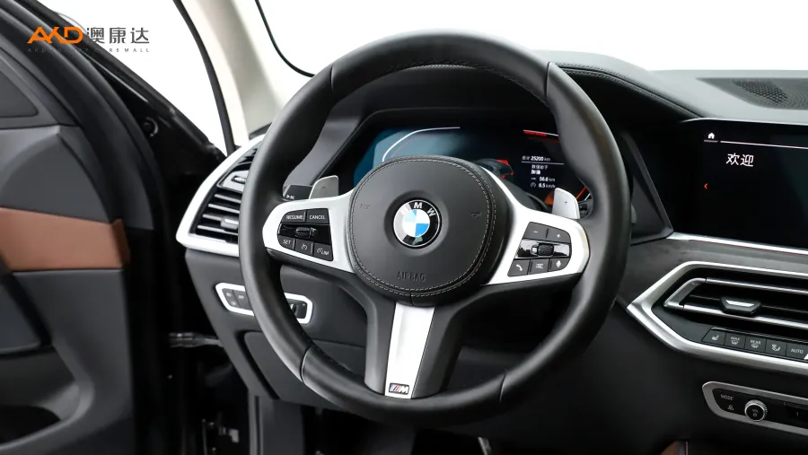 二手宝马X5 xDrive30i M运动套装图片3849737