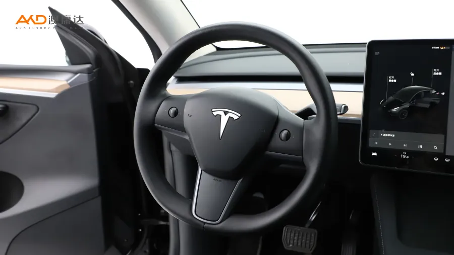 二手特斯拉Model Y 标准续航后驱版图片3851766