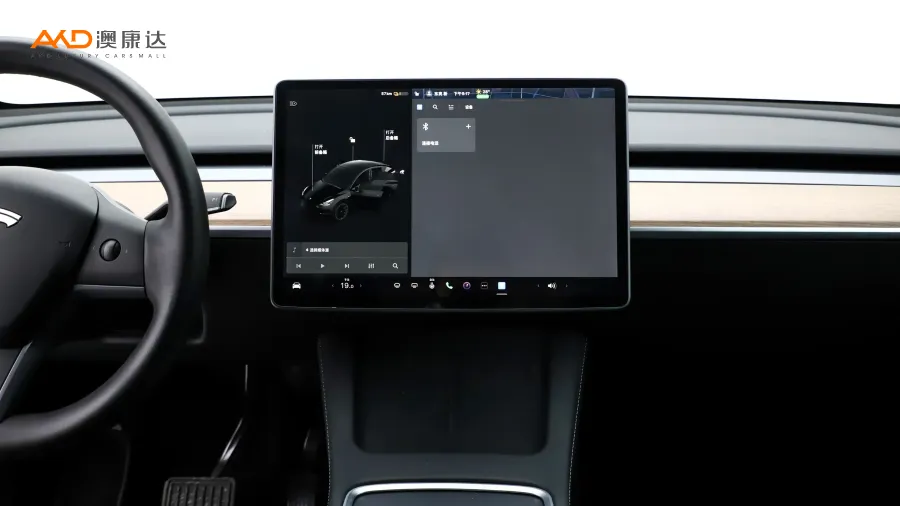 二手特斯拉Model Y 标准续航后驱版图片3851768