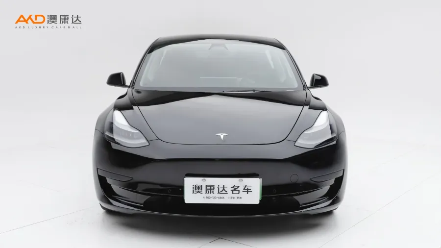 二手特斯拉Model 3 标准续航后驱升级版图片3851881