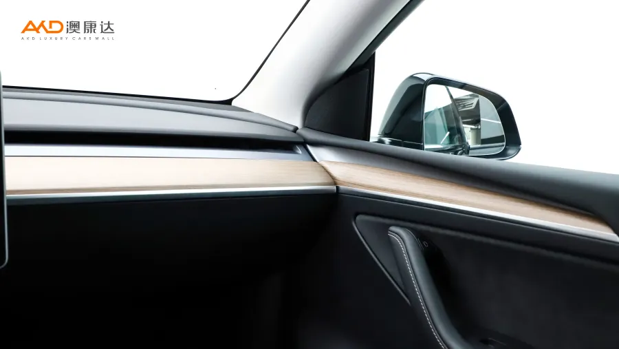 二手特斯拉Model Y 标准续航后驱版图片3851769