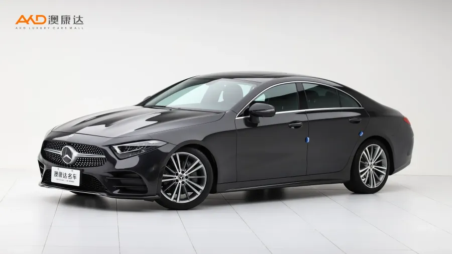 二手奔驰CLS300 动感型图片