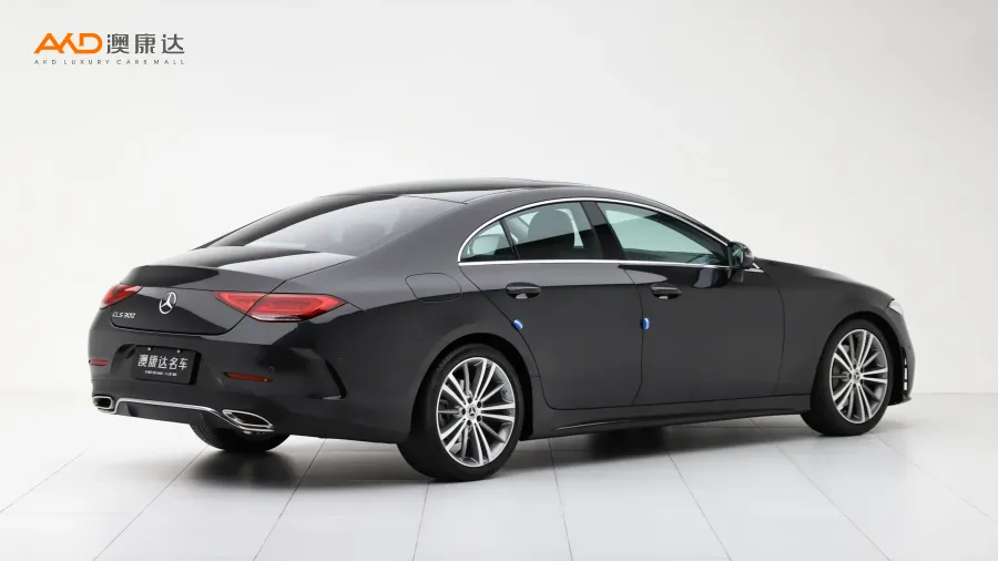 二手奔驰CLS300 动感型图片3851133