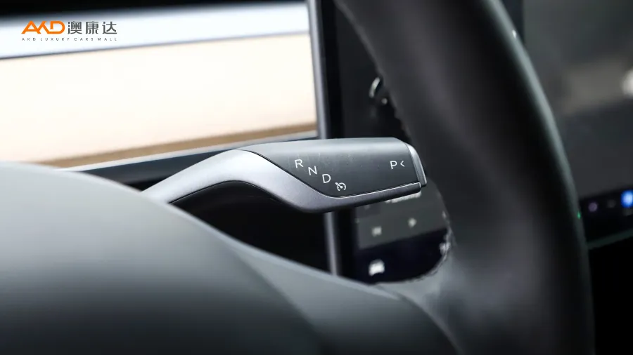 二手特斯拉Model Y 标准续航后驱版图片3851756