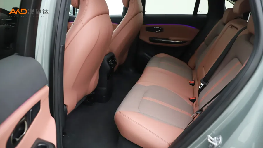 二手蔚來EC6 615KM 性能版圖片3850782