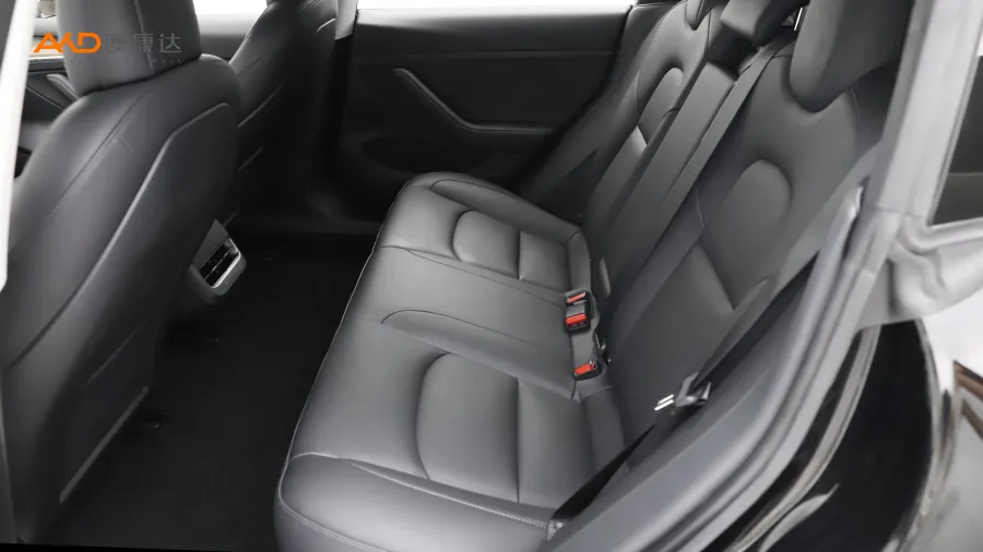 二手特斯拉Model 3 标准续航后驱升级版图片3851908