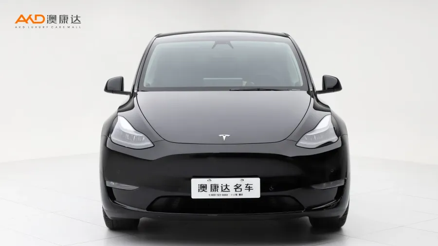二手特斯拉Model Y 标准续航后驱版图片3851745