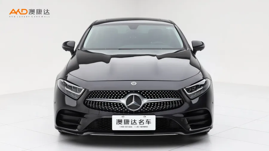 二手奔驰CLS300 动感型图片3851125