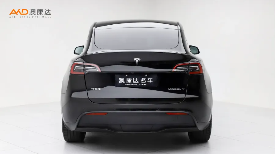 二手特斯拉Model Y 标准续航后驱版图片3851751
