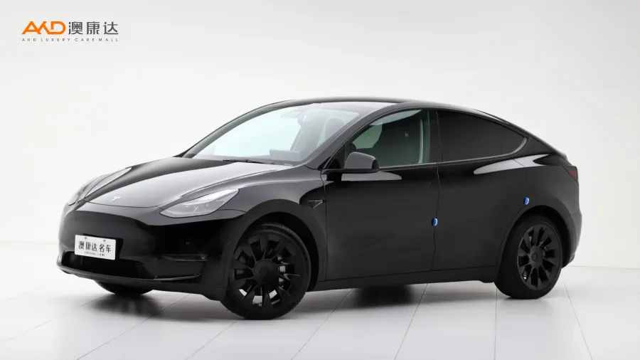 二手特斯拉Model Y 标准续航后驱版图片