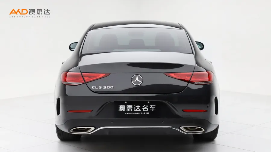 二手奔驰CLS300 动感型图片3851137