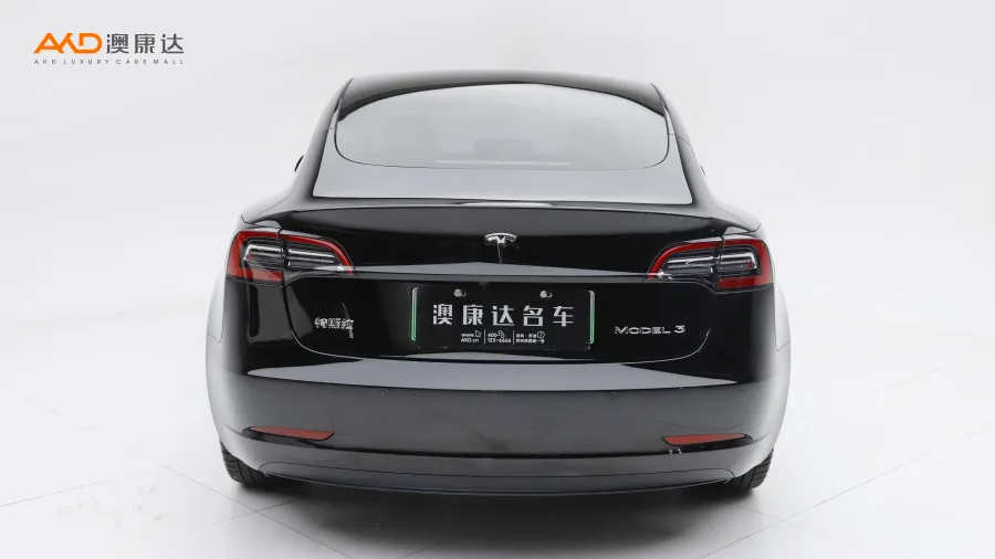 二手特斯拉Model 3 标准续航后驱升级版图片3851892