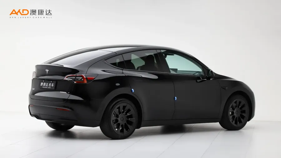二手特斯拉Model Y 标准续航后驱版图片3851749