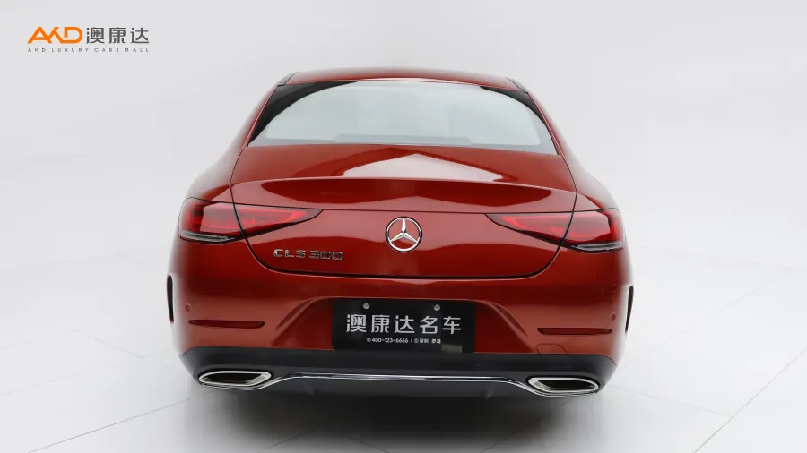 二手奔驰CLS300  豪华型图片3853312