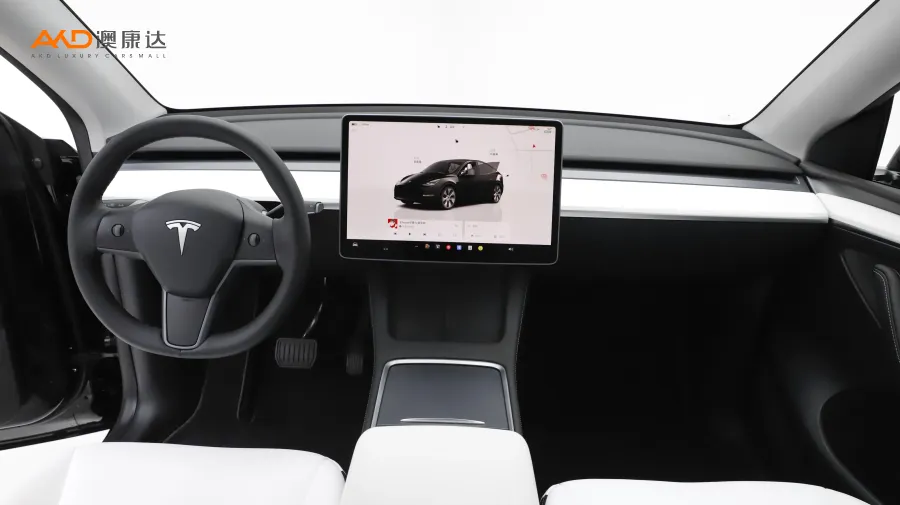 二手特斯拉Model Y 后轮驱动版图片3852882