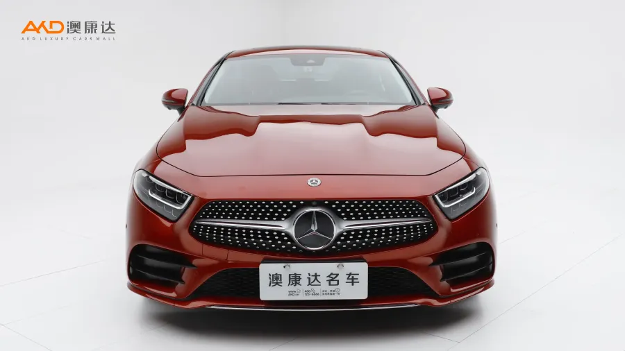 二手奔驰CLS300  豪华型图片3853306