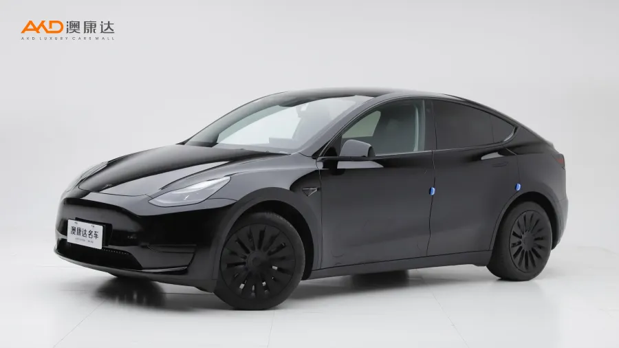 二手特斯拉Model Y 改款 后轮驱动版图片