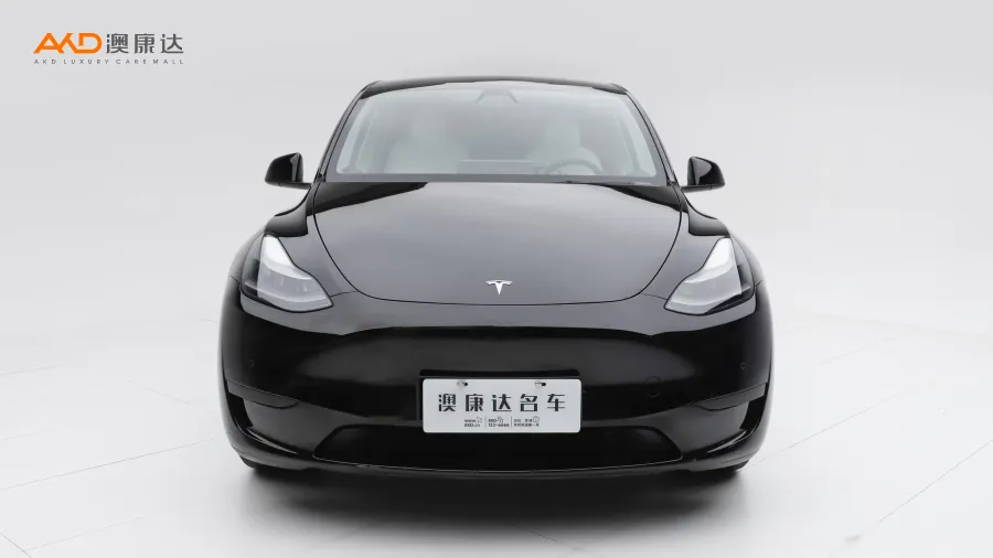 二手特斯拉Model Y 后轮驱动版图片3852864
