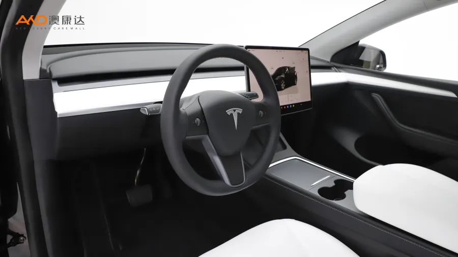 二手特斯拉Model Y 后轮驱动版图片3852878