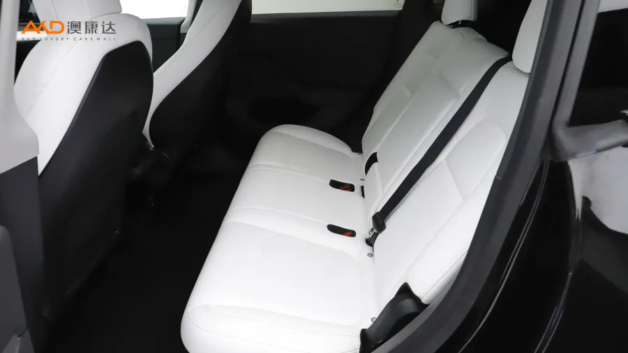 二手特斯拉Model Y 后轮驱动版图片3852879