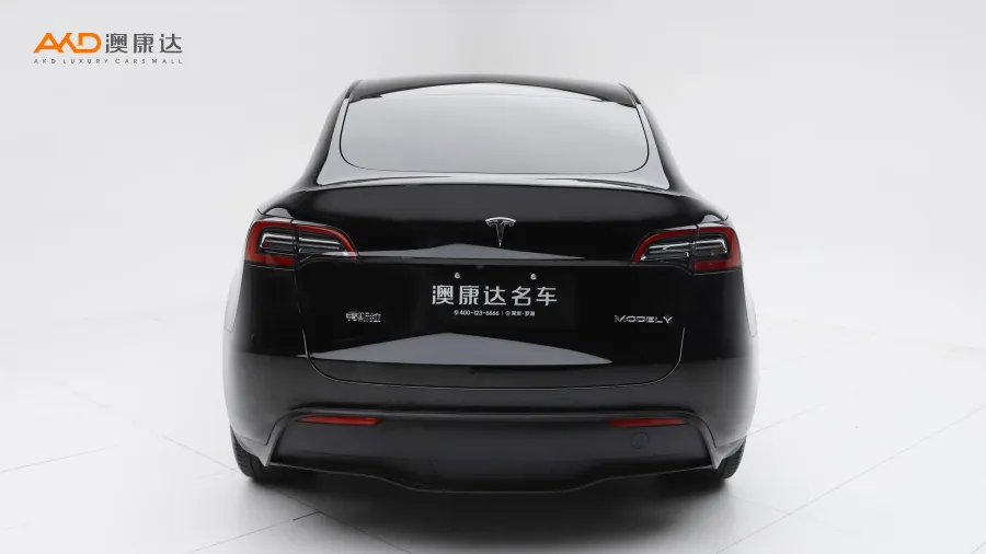 二手特斯拉Model Y 后轮驱动版图片3852871