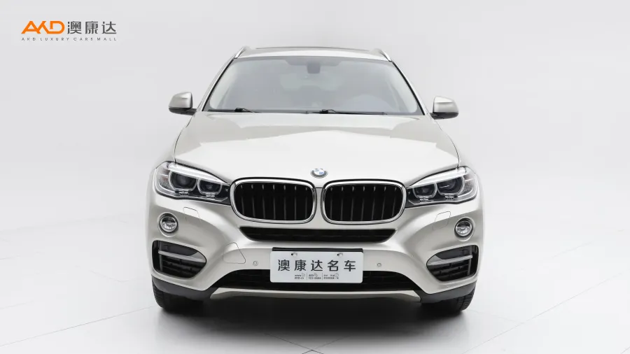 二手宝马X6 xDrive35i  领先型图片3854522