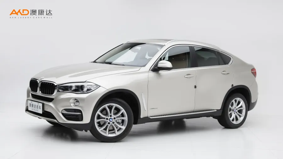 二手宝马X6 xDrive35i  领先型图片