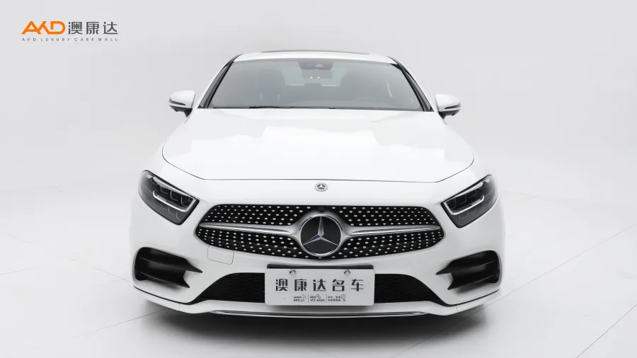二手奔馳CLS300 豪華型圖片3856231