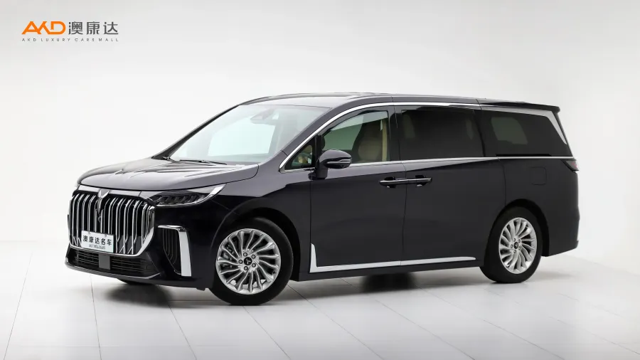 二手嵐圖夢想家 PHEV 超長續(xù)航尊貴版圖片