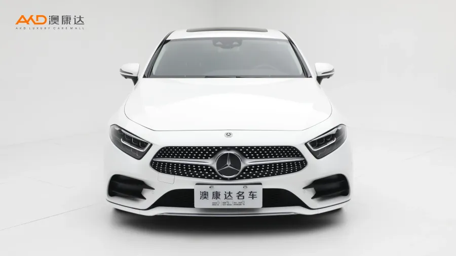 二手奔馳CLS300 豪華型圖片3855539