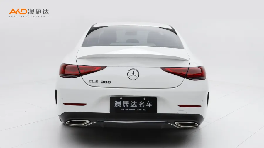 二手奔馳CLS300 豪華型圖片3856236