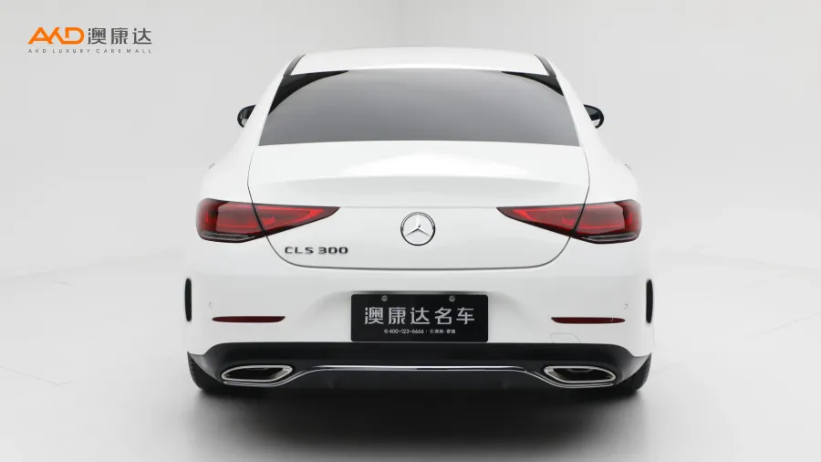 二手奔馳CLS300 豪華型圖片3855544