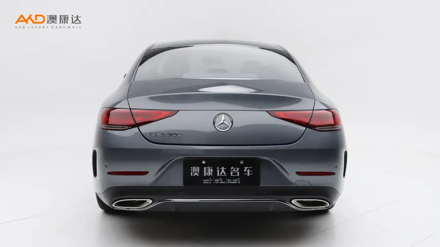 二手奔馳CLS300 豪華型圖片3856262