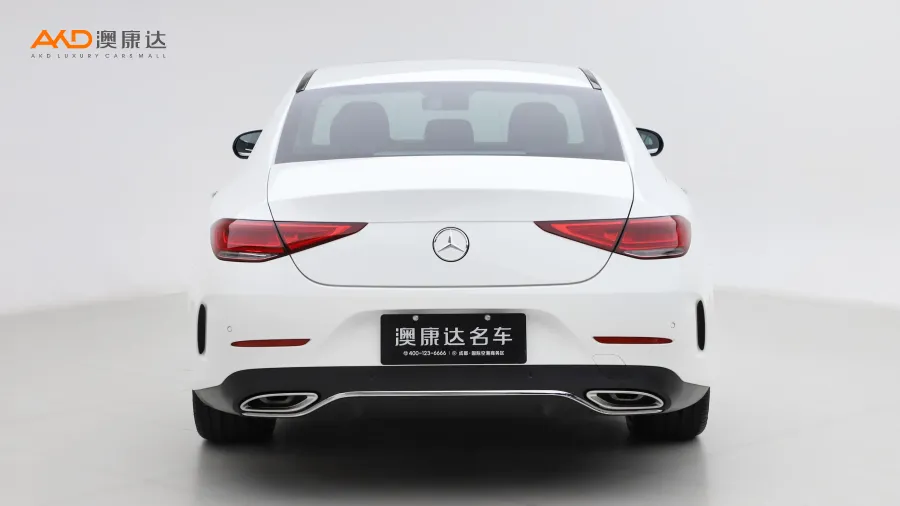 二手奔馳CLS300  豪華型圖片3856931