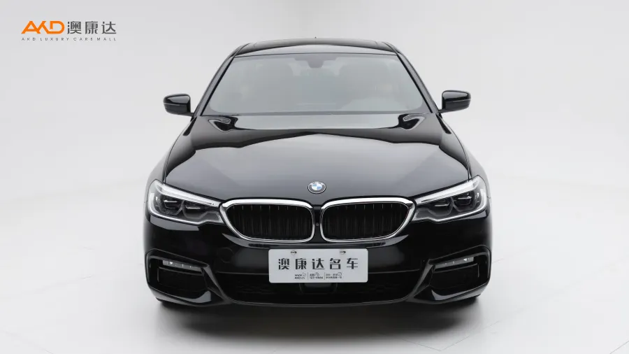 二手寶馬530Li 尊享型M運(yùn)動(dòng)套裝圖片3858660