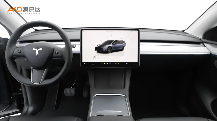 二手特斯拉Model Y 后輪驅(qū)動版圖片3858308