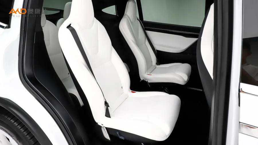 二手特斯拉Model X 100D 長續(xù)航版圖片3859298