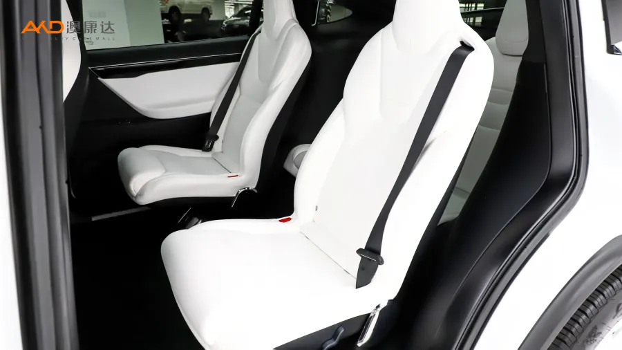 二手特斯拉Model X 100D 長續(xù)航版圖片3859291