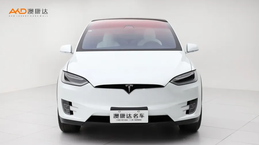 二手特斯拉Model X 100D 長續(xù)航版圖片3859276