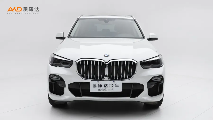 二手寶馬X5 改款 xDrive30i M運(yùn)動(dòng)套裝圖片3862400