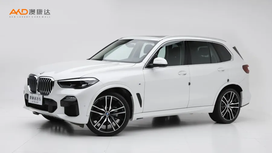 二手寶馬X5 改款 xDrive30i M運(yùn)動(dòng)套裝圖片