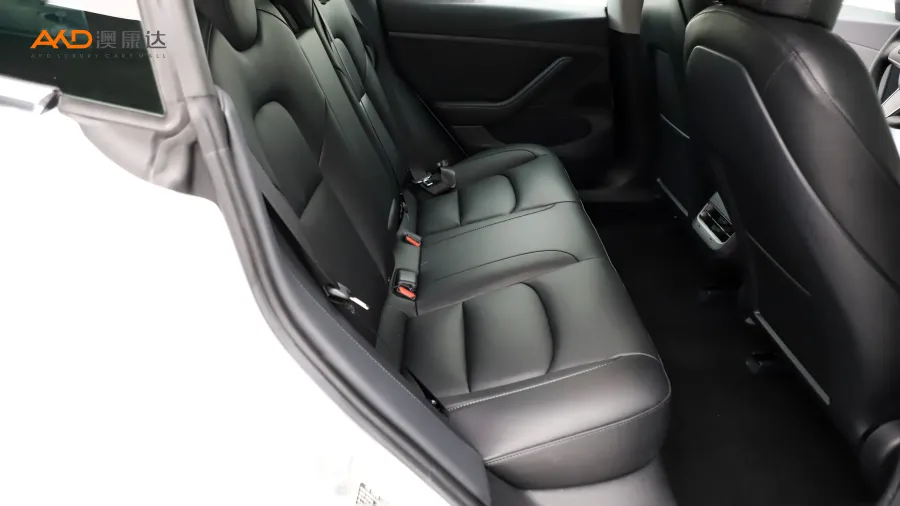 二手特斯拉Model 3 標(biāo)準(zhǔn)續(xù)航后驅(qū)升級(jí)版圖片3862339