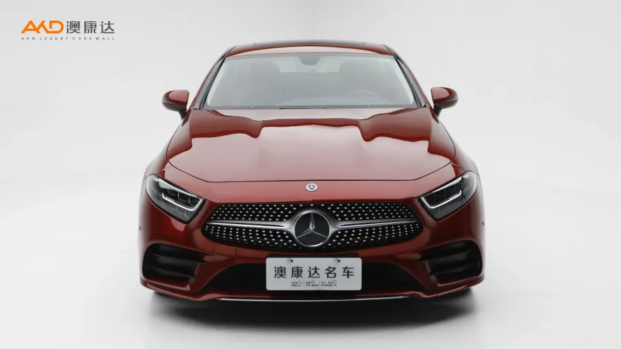 二手奔馳CLS300 動感型圖片3864689