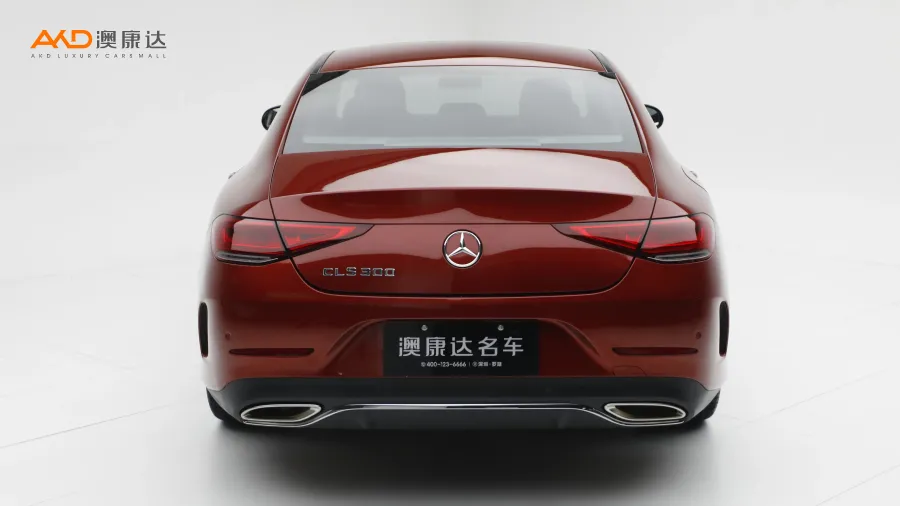 二手奔馳CLS300 動感型圖片3864694