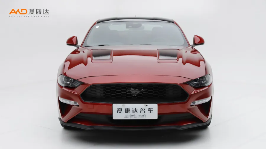 二手野馬 EcoBoost 黑曜魅影特別版圖片3864948