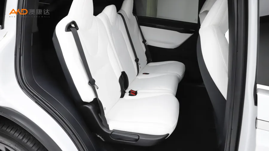 二手特斯拉Model X 長續(xù)航版圖片3865762