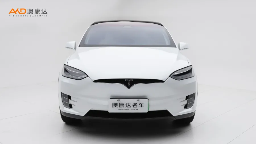 二手特斯拉Model X 長續(xù)航版圖片3865745