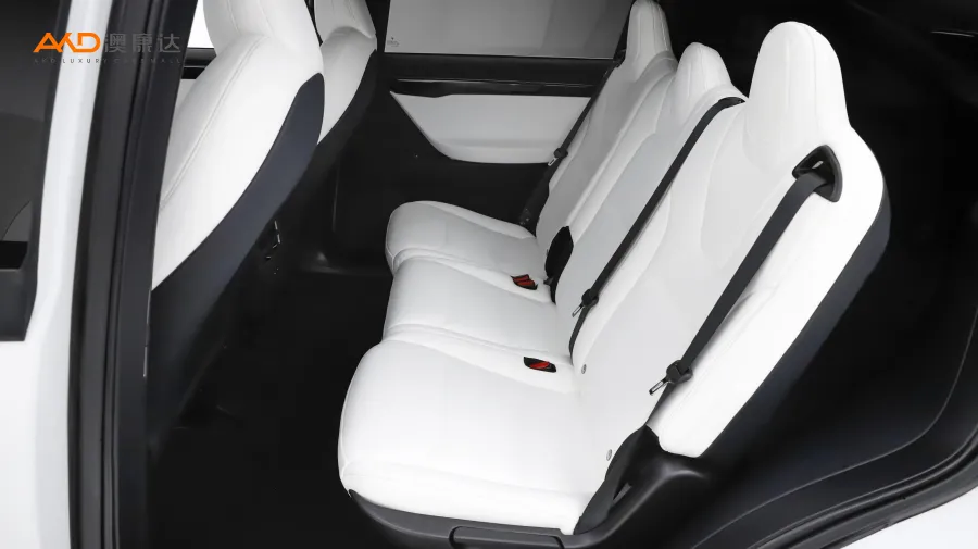 二手特斯拉Model X 長續(xù)航版圖片3865760