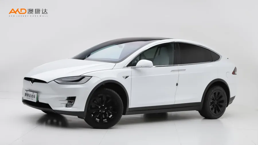 二手特斯拉Model X 長續(xù)航版圖片